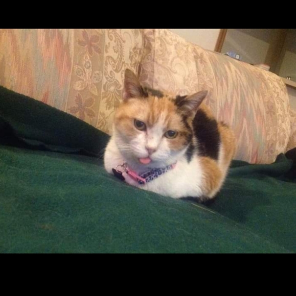 A Bit About Me 😁 - Picture 15 of 16